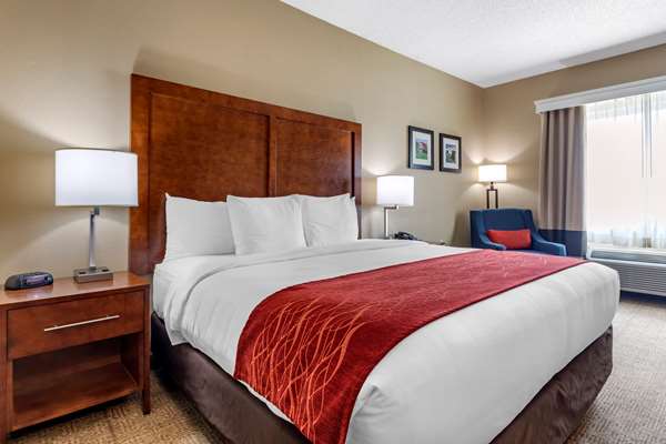 Suite - Comfort Inn DFW North Irving