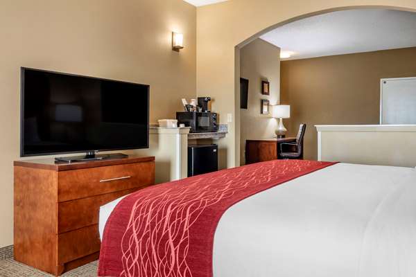 Suite - Comfort Inn DFW North Irving