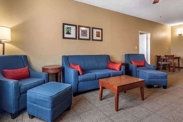 Suite - Comfort Inn DFW North Irving