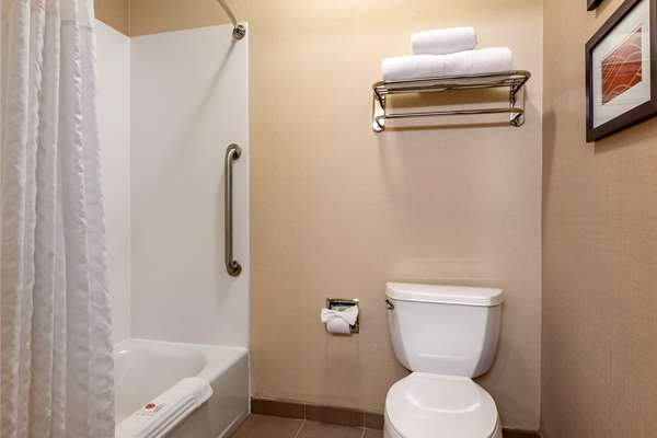 Suite - Comfort Inn DFW North Irving