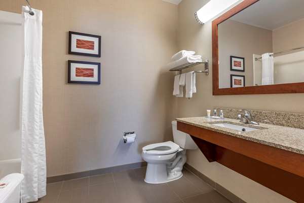 Suite - Comfort Inn DFW North Irving