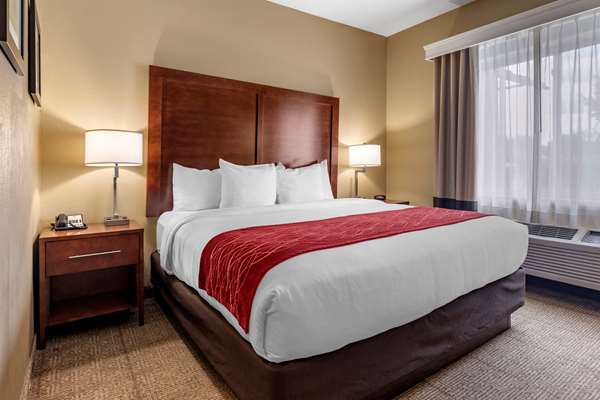 Suite - Comfort Inn DFW North Irving