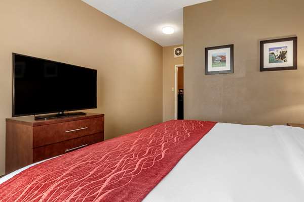 Suite - Comfort Inn DFW North Irving