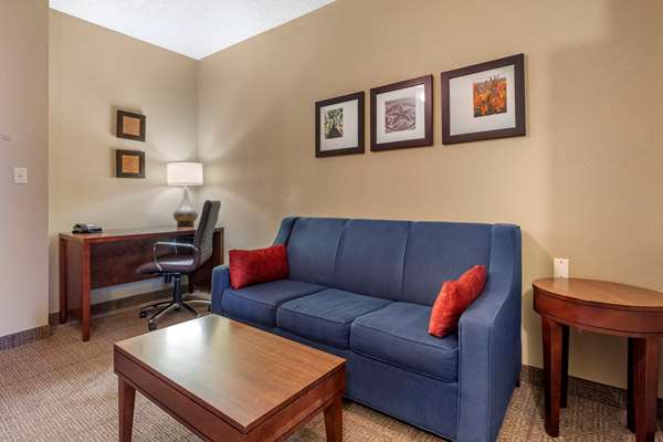 Suite - Comfort Inn DFW North Irving