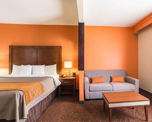 Suite - Econo Lodge Inn & Suites East Houston - I-10, Exit 778 & 778A