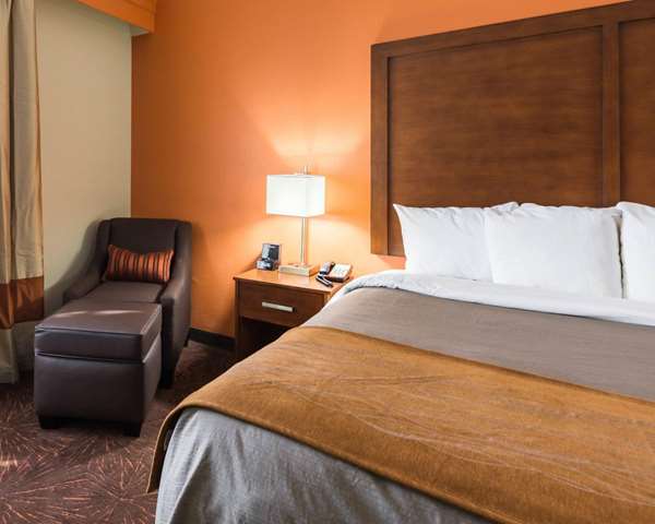  - Econo Lodge Inn & Suites East Houston - I-10, Exit 778 & 778A