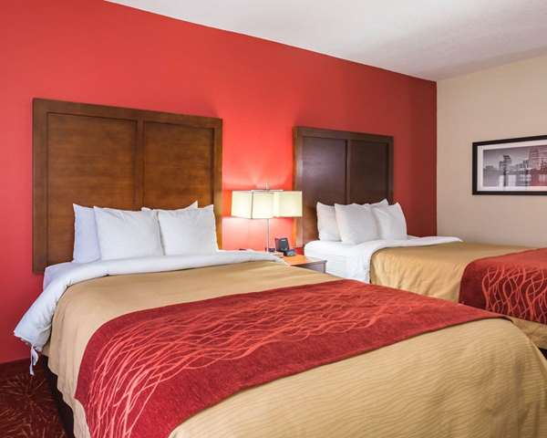  - Econo Lodge Inn & Suites East Houston - I-10, Exit 778 & 778A
