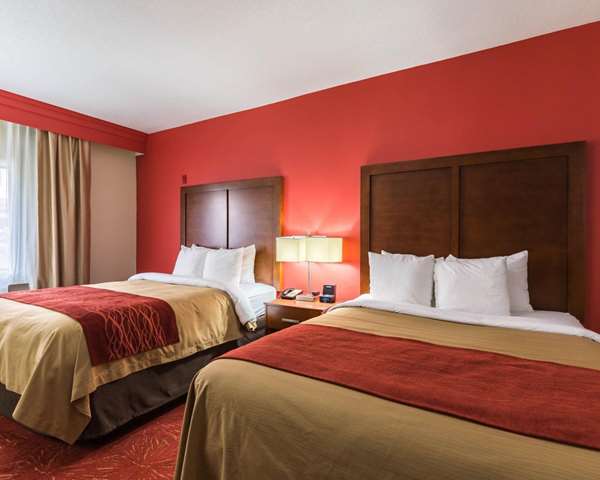  - Econo Lodge Inn & Suites East Houston - I-10, Exit 778 & 778A