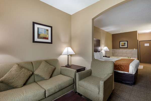  - Comfort Suites Stone Brair Mall The Colony