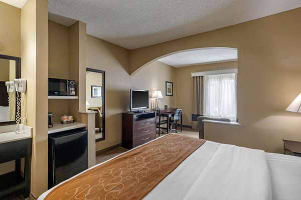  - Comfort Suites Stone Brair Mall The Colony
