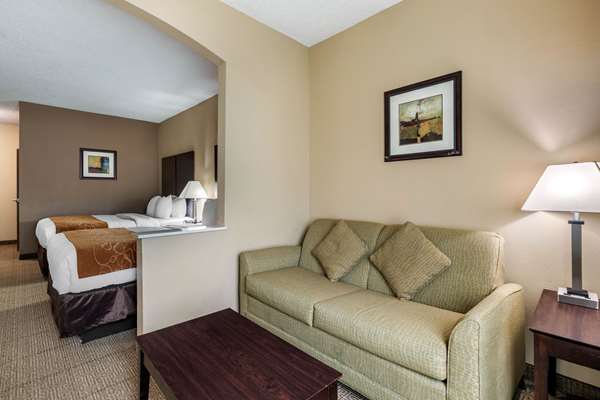  - Comfort Suites Stone Brair Mall The Colony