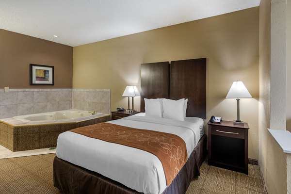  - Comfort Suites Stone Brair Mall The Colony