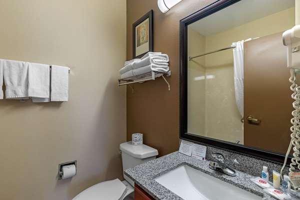 Suite - Comfort Suites Stone Brair Mall The Colony