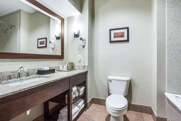  - Comfort Inn & Suites Market Center Dallas - I-35, Exit 433B