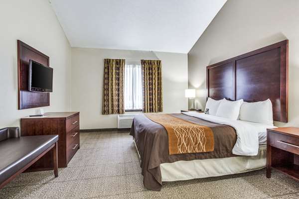 Suite - Comfort Inn & Suites Market Center Dallas - I-35, Exit 433B