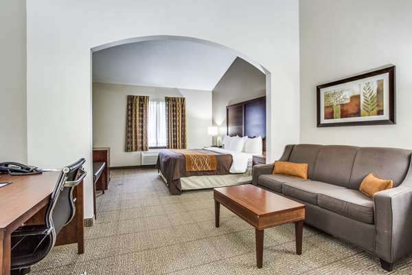 Suite - Comfort Inn & Suites Market Center Dallas - I-35, Exit 433B