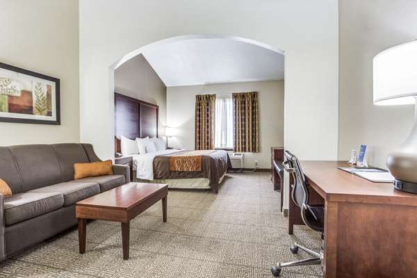 Suite - Comfort Inn & Suites Market Center Dallas - I-35, Exit 433B