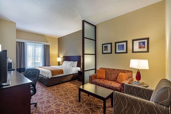 Suite - Comfort Suites McKinney