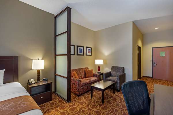 Suite - Comfort Suites McKinney