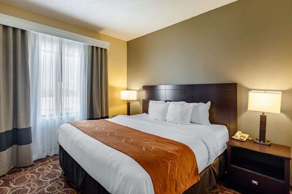Suite - Comfort Suites McKinney