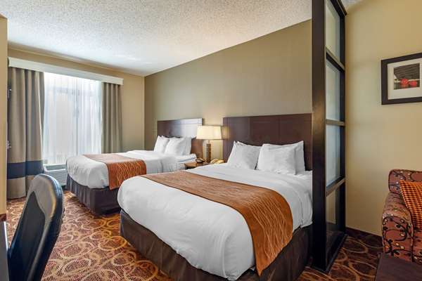 Suite - Comfort Suites McKinney