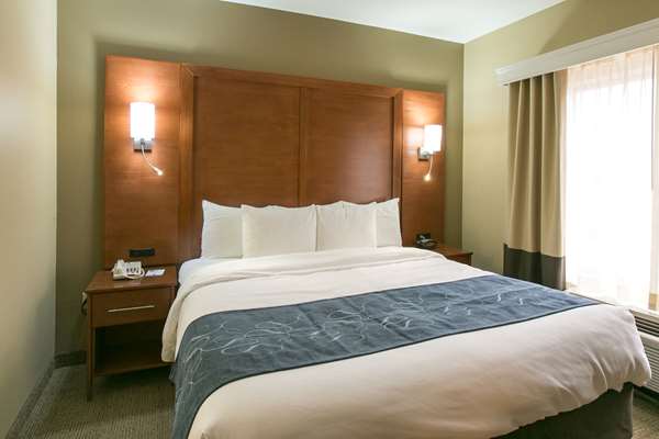 Suite - Comfort Suites US 183 Austin