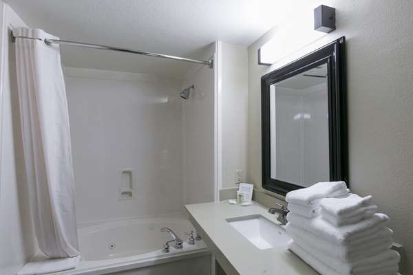 Suite - Comfort Suites US 183 Austin