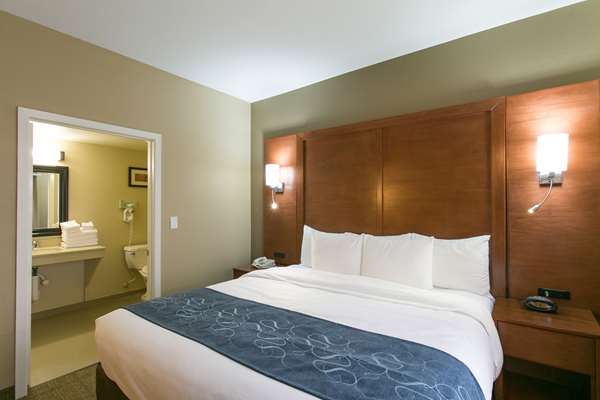 Suite - Comfort Suites US 183 Austin