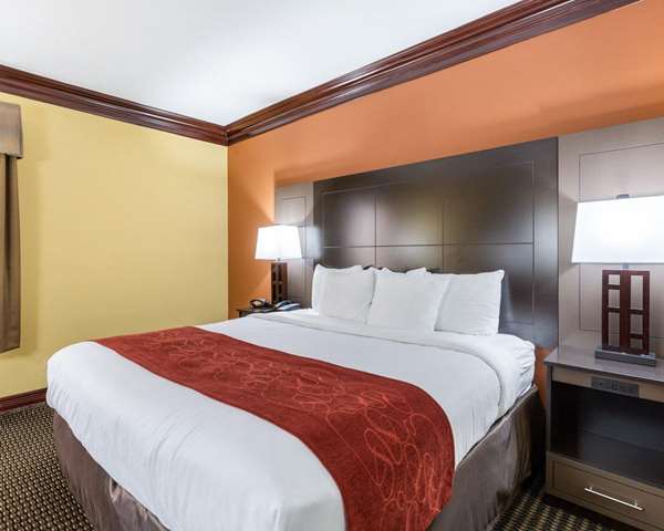 Suite - Comfort Suites Lake Jackson