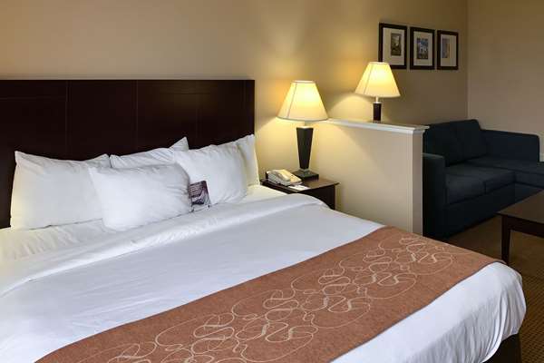 Suite - Comfort Suites Roanoke