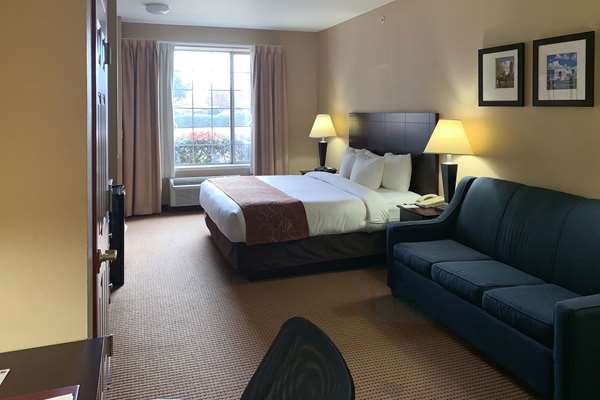Suite - Comfort Suites Roanoke