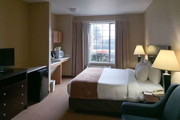 Suite - Comfort Suites Roanoke