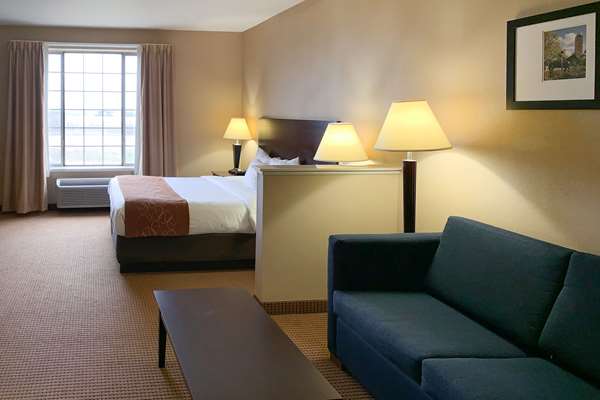 Suite - Comfort Suites Roanoke