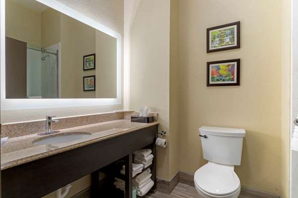Suite - Comfort Suites Kingwood - I-69, Exit 151