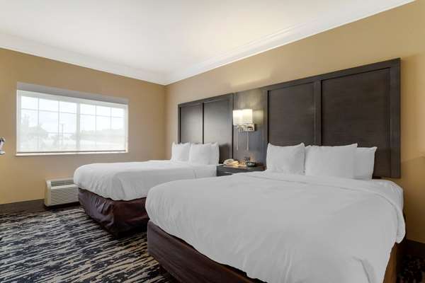 Suite - Comfort Suites Kingwood - I-69, Exit 151