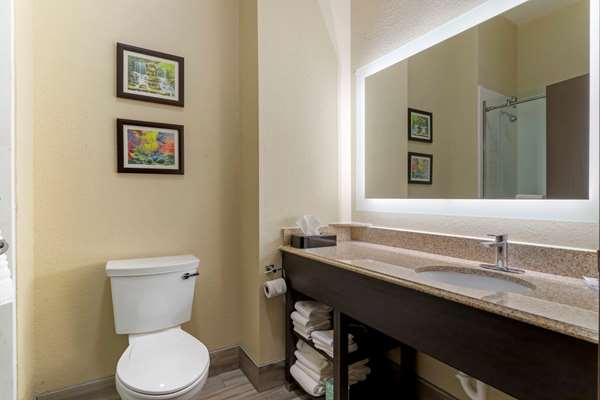 Suite - Comfort Suites Kingwood - I-69, Exit 151