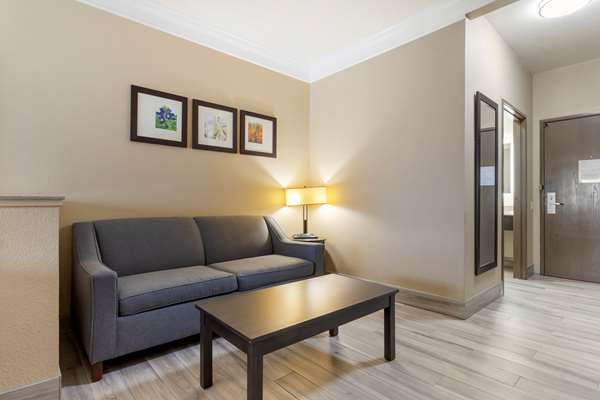 Suite - Comfort Suites Kingwood - I-69, Exit 151