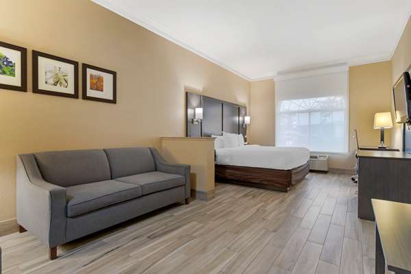 Suite - Comfort Suites Kingwood - I-69, Exit 151