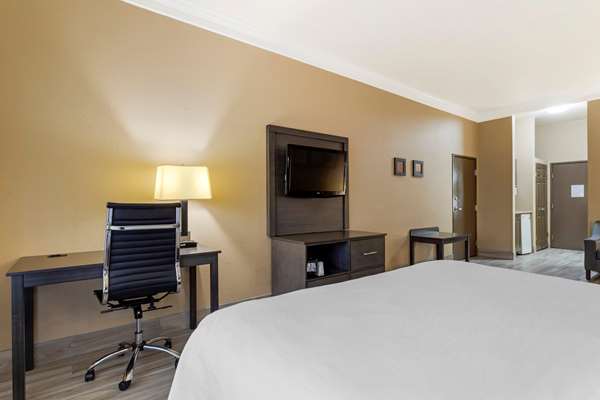 Suite - Comfort Suites Kingwood - I-69, Exit 151