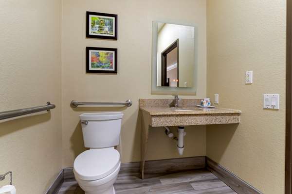 Suite - Comfort Suites Kingwood - I-69, Exit 151