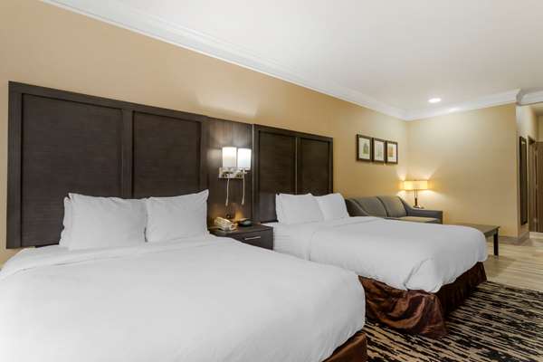 Suite - Comfort Suites Kingwood - I-69, Exit 151