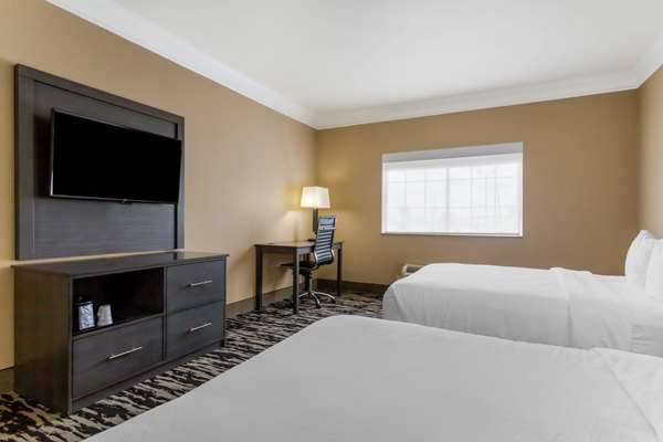 Suite - Comfort Suites Kingwood - I-69, Exit 151