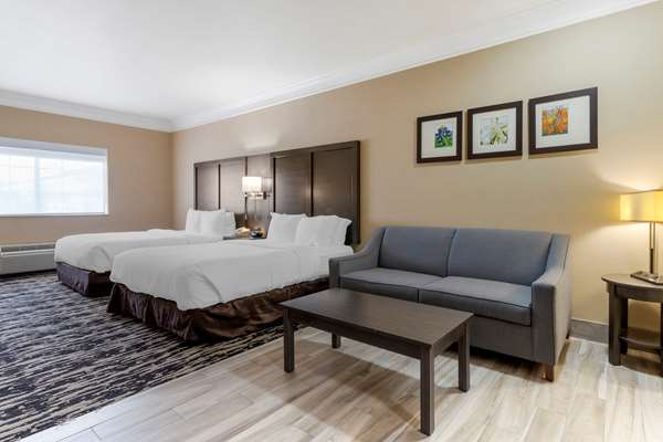 Suite - Comfort Suites Kingwood - I-69, Exit 151