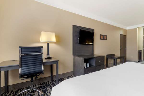 Suite - Comfort Suites Kingwood - I-69, Exit 151