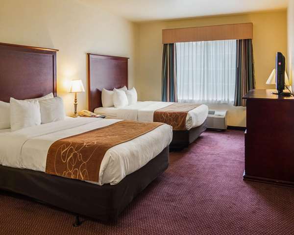 Suite - Comfort Suites Texarkana - I-30, Exit 220B