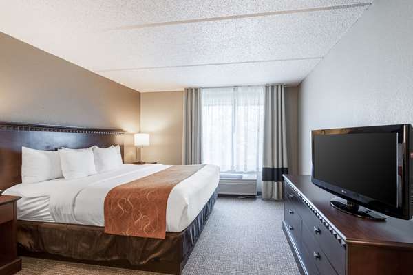 Suite - Comfort Suites Airport Austin