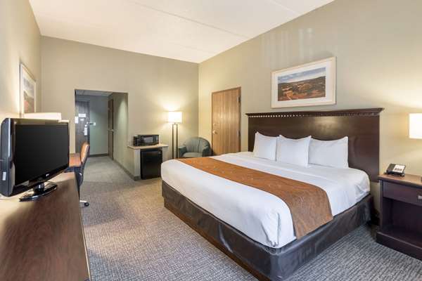 Suite - Comfort Suites Airport Austin