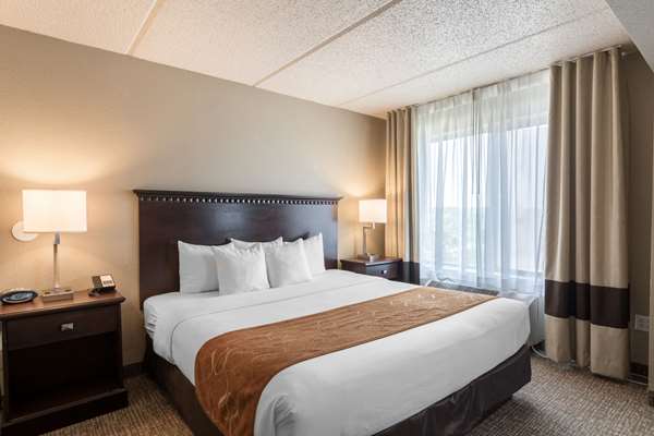 Suite - Comfort Suites Airport Austin