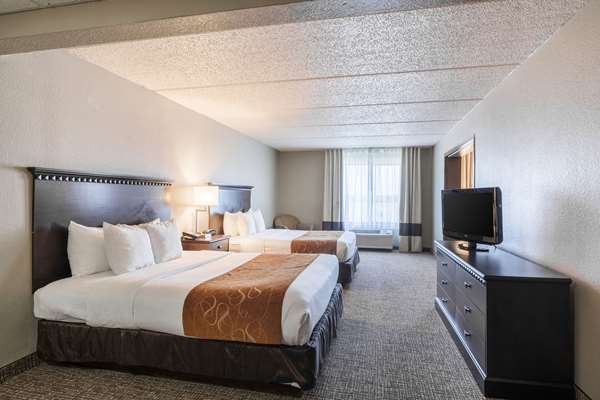 Suite - Comfort Suites Airport Austin