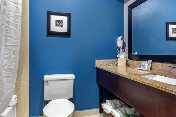  - Comfort Inn Mansfield